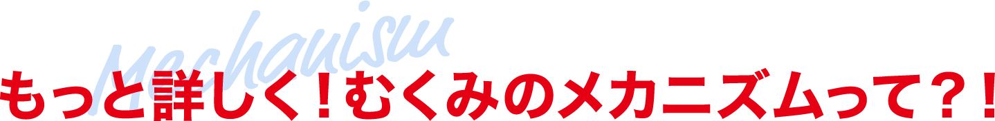 Mechanism もっと詳しく！むくみのメカニズムって？！